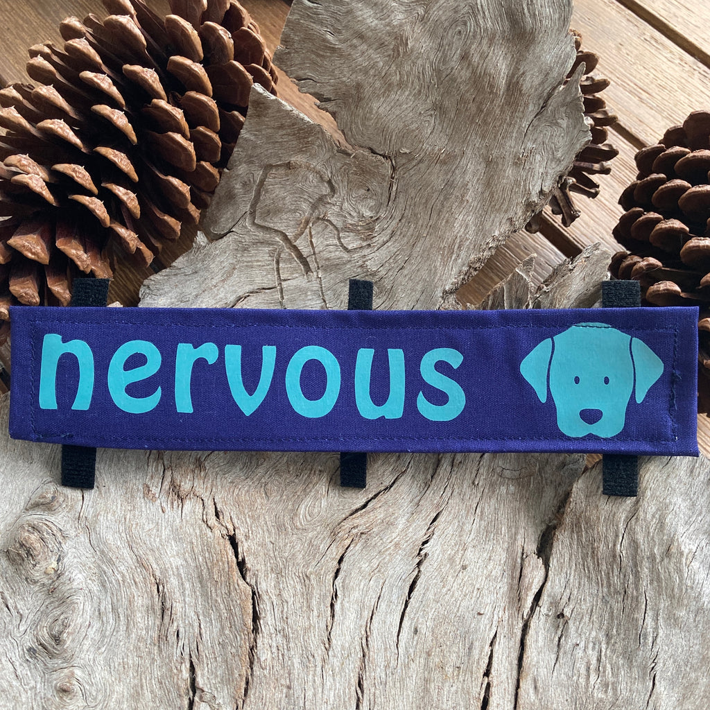 "NERVOUS DOG Bandana and Lead/Collar Strap Set" - Navy / Aqua