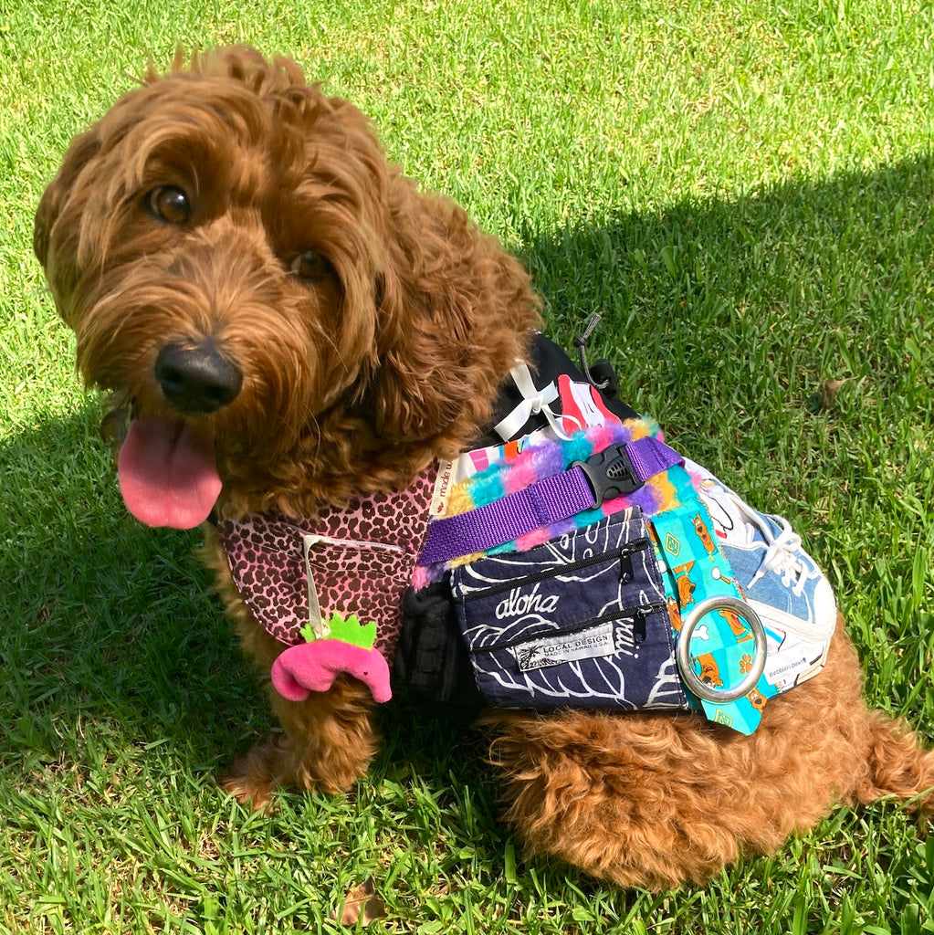 Custom Made Fine Motor Skills / Sensory Therapy Dog Coat
