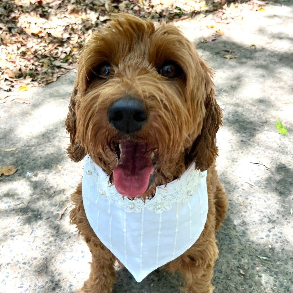 Ophelia Wedding Dog Bandana with Flower Lace Trim