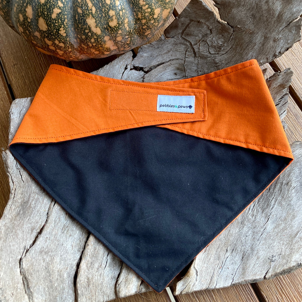 I'm so WICKEDLY CUTE! - Printed Halloween Dog Bandana