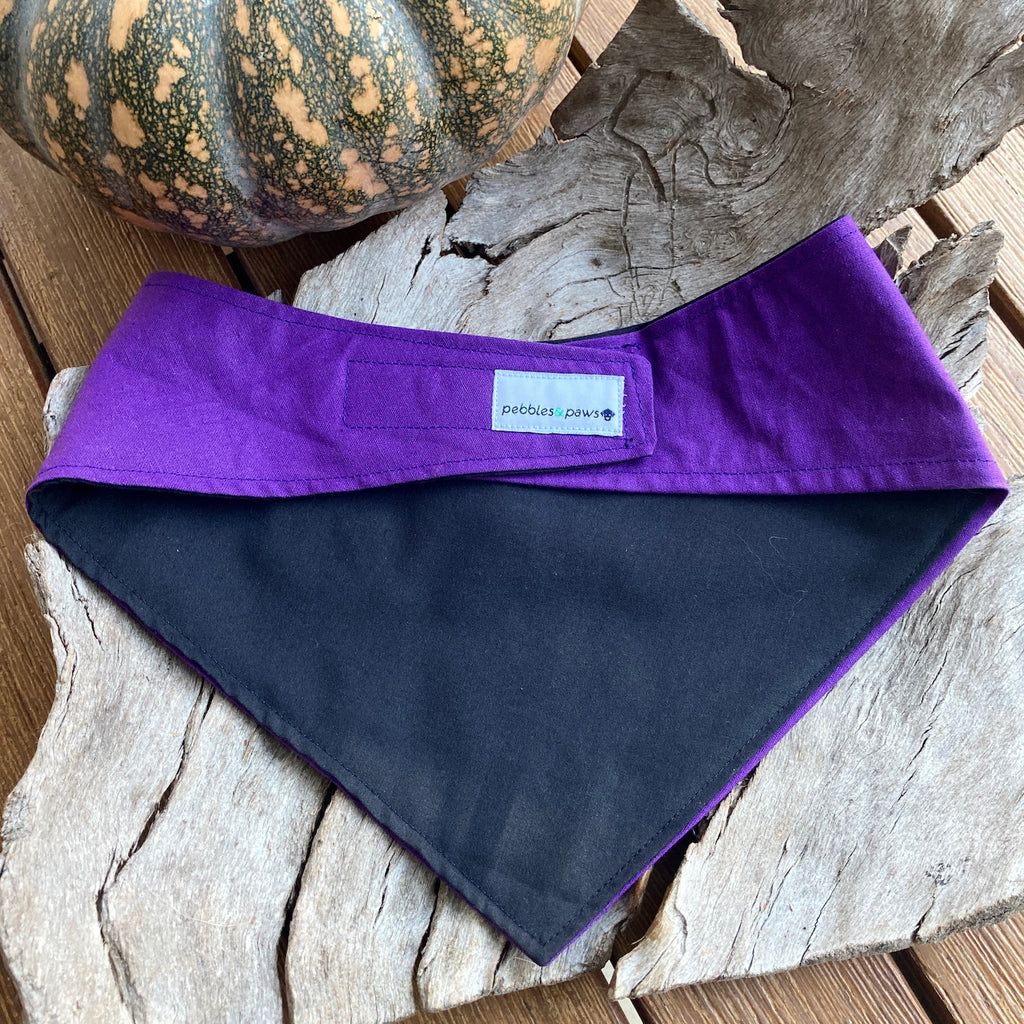LICK or TREAT! - Printed Halloween Dog Bandana