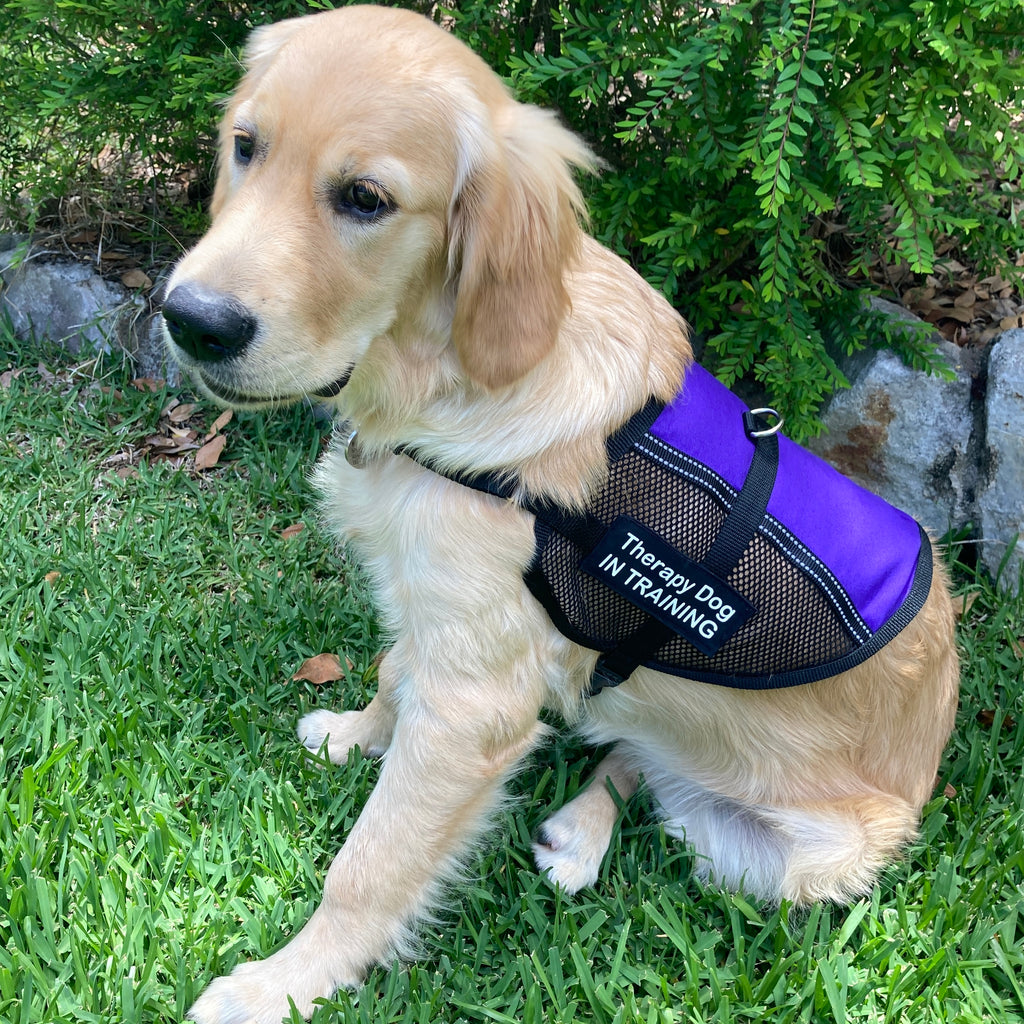 Lightweight Therapy/Assistance Dog/Wellbeing Training Vest/Coat (Badges & Print Not Included)