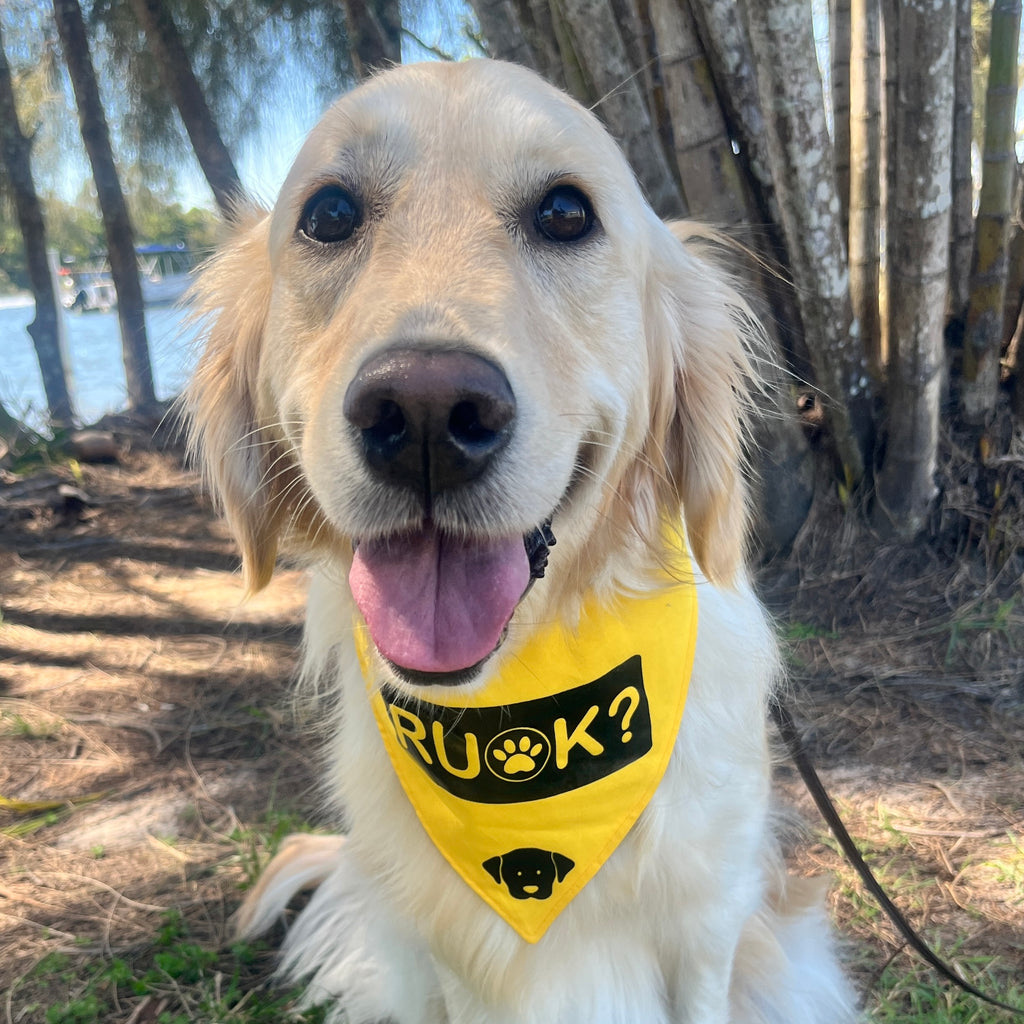 Custom Made Vinyl Transfer Print Dog Bandana - Your Design & Fabric Choice