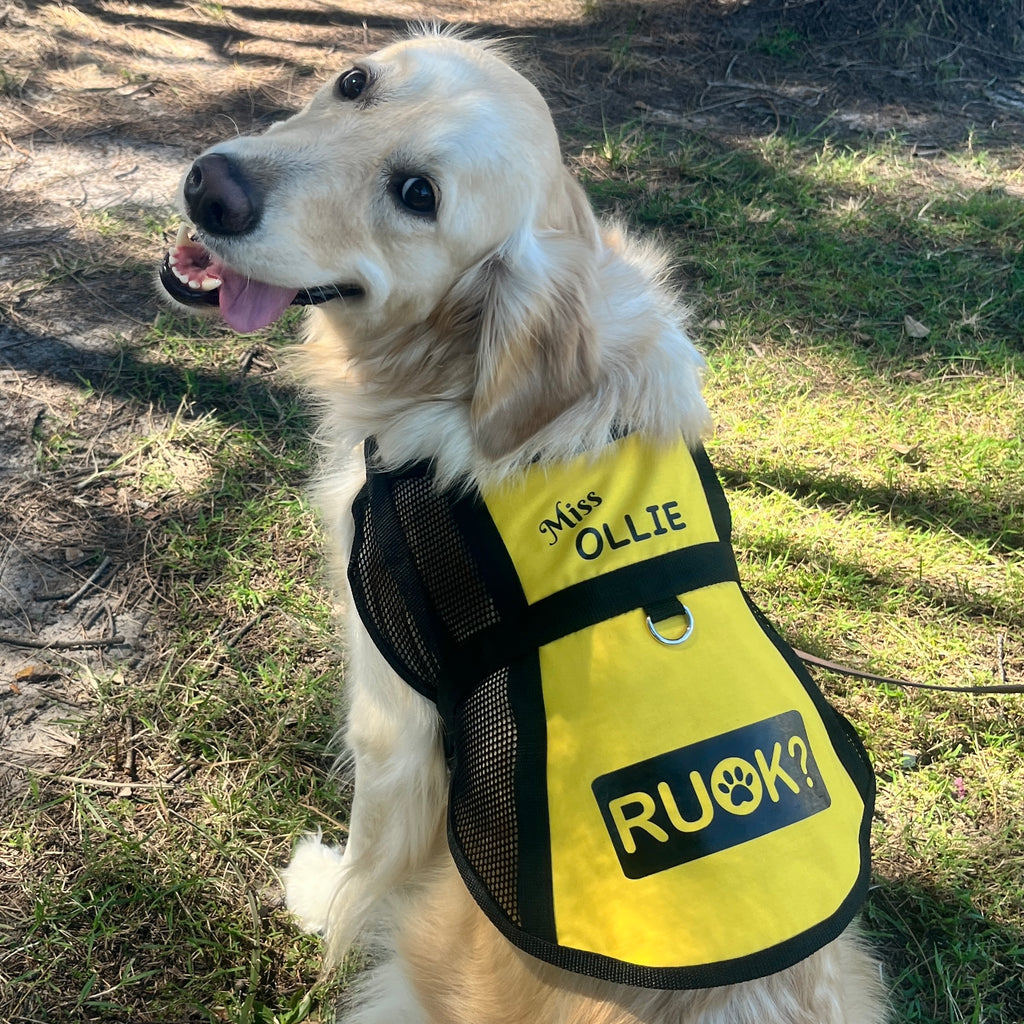 Custom Made Lightweight Therapy/Assistance/Wellbeing Dog Training Vest  (Badges & Print Not Included)