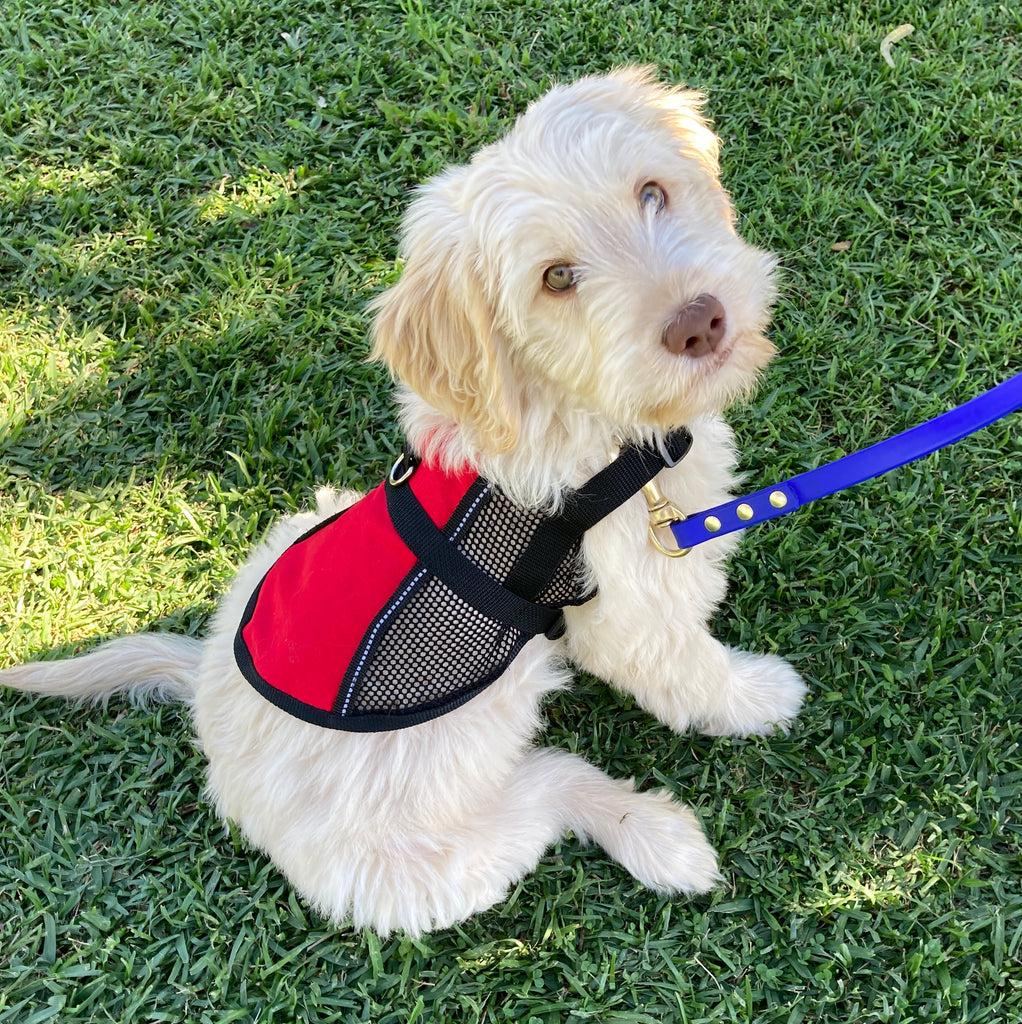 Lightweight Therapy/Assistance Dog/Wellbeing Training Vest/Coat (Badges & Print Not Included)