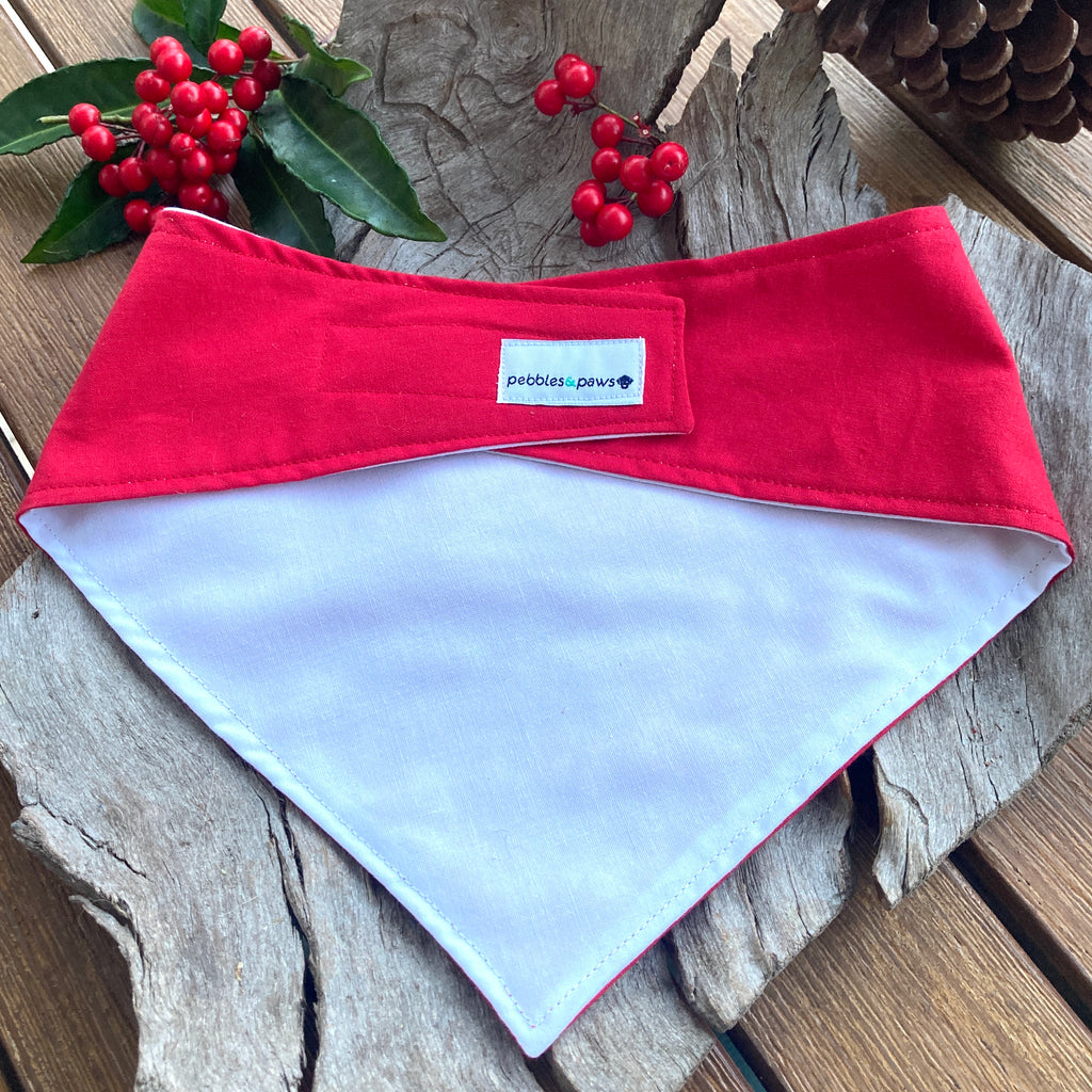 HERE COMES SANTA PAWS! - Printed Xmas Dog Bandana