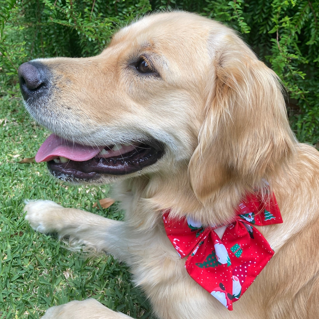 Xmas Dog Sailor Bow - RED GNOMES