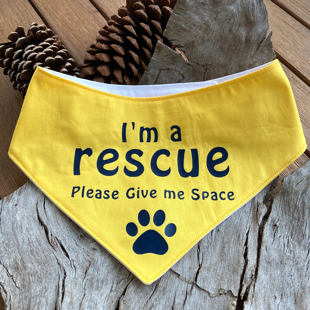 Rescue Dog Bandana and Lead Strap Set - Yellow