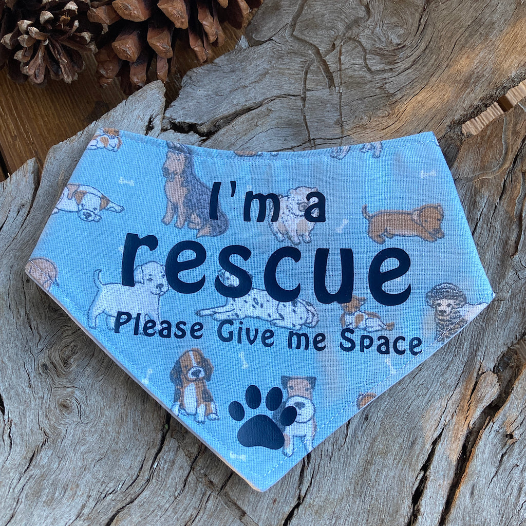 Rescue Dog Bandana and Lead Strap Set - Sky Blue Dogs