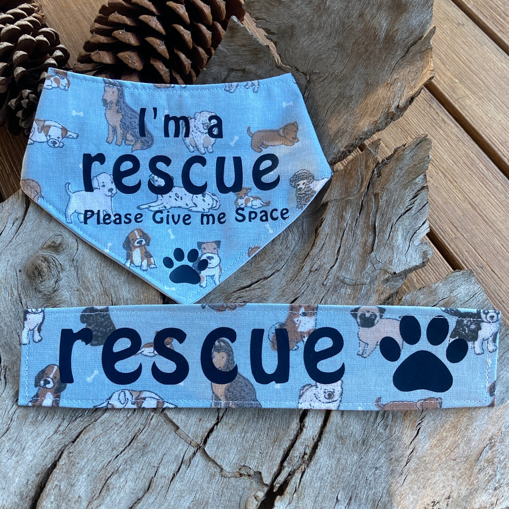 Rescue Dog Bandana and Lead Strap Set - Sky Blue Dogs