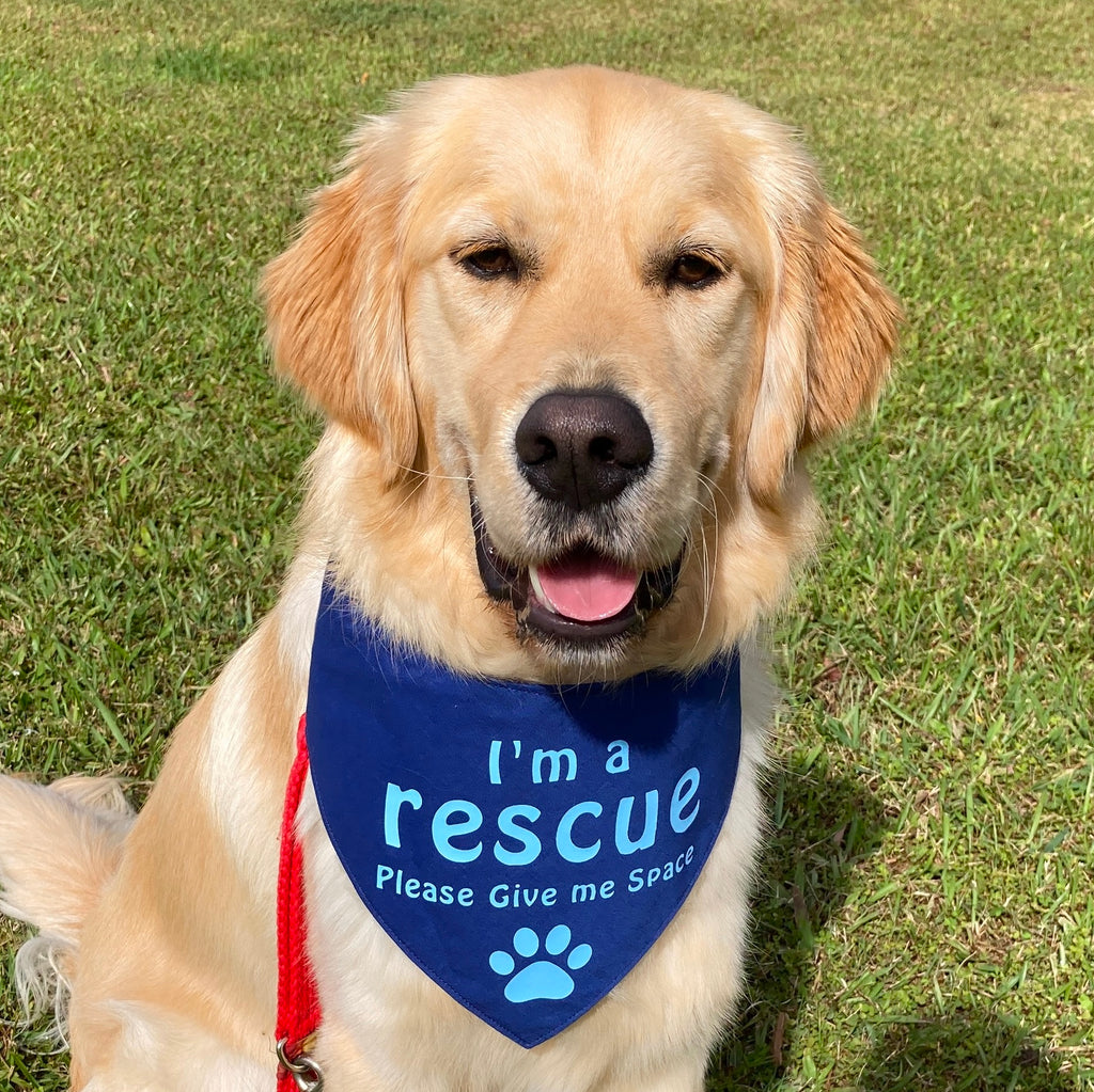 Rescue Dog Bandana - Dark Blue