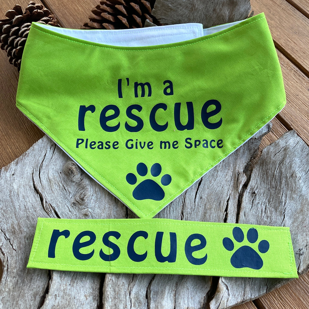 Rescue Dog Bandana and Lead Strap Set - Lime Green