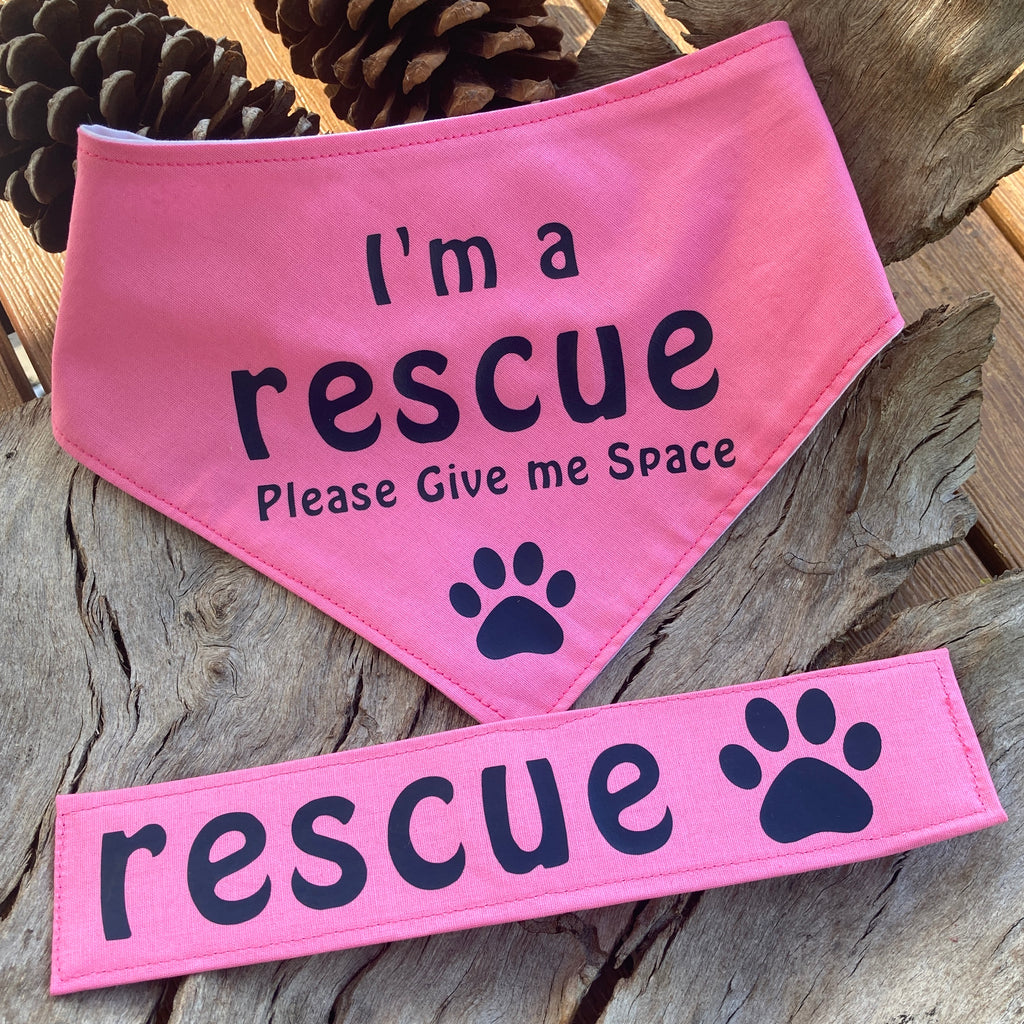 Rescue Dog Bandana and Lead Strap Set - Pink