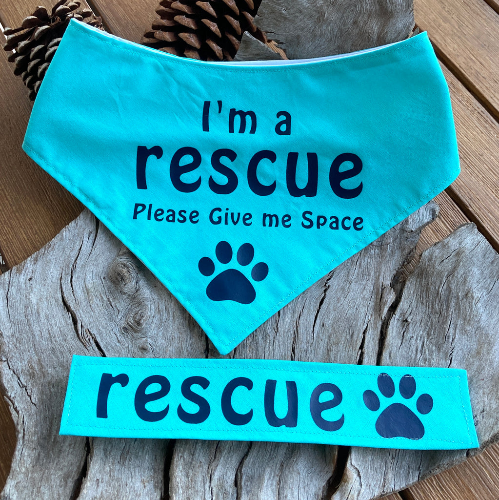 Rescue Dog Bandana and Lead Strap Set - Teal