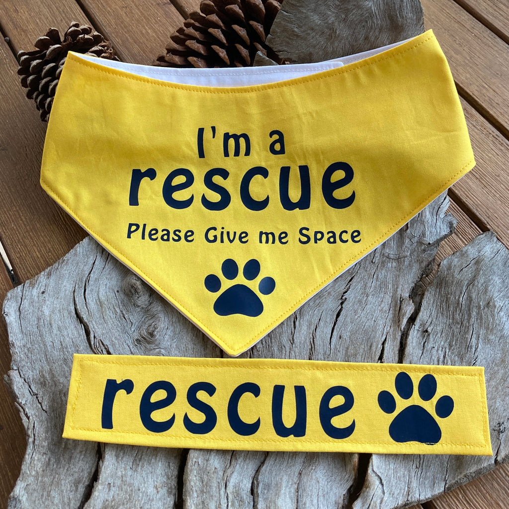 Rescue Dog Bandana and Lead Strap Set - Yellow
