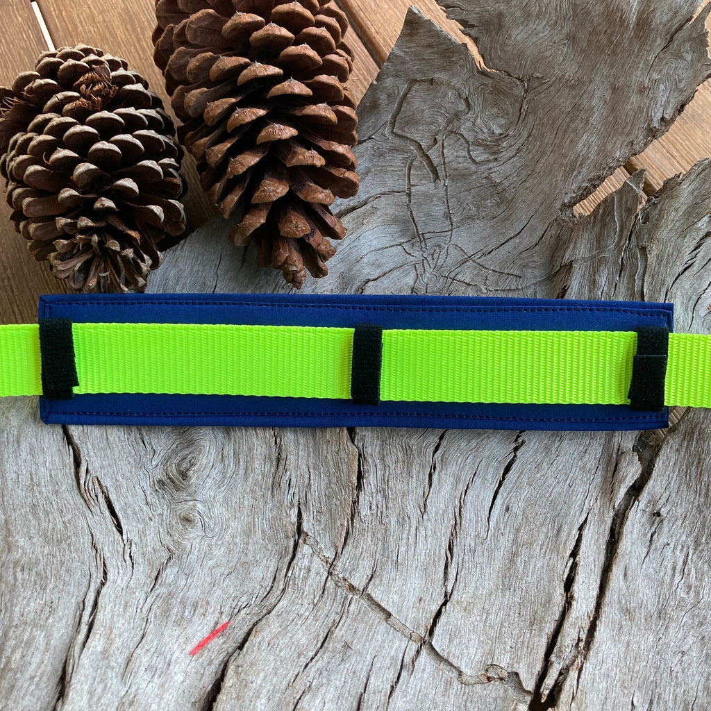 RESCUE Dog Lead/Collar Strap - Sky Blue Dogs