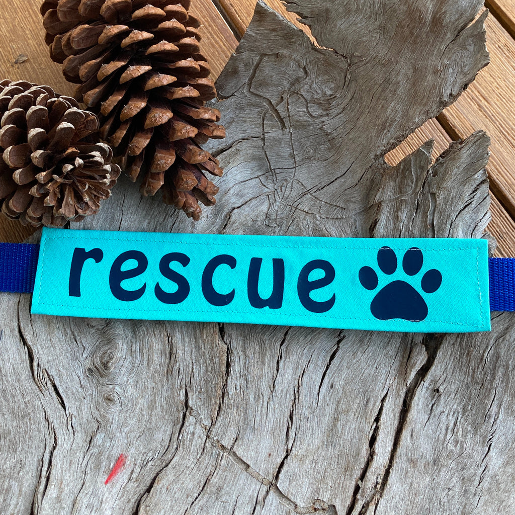 RESCUE Dog Lead/Collar Strap - Teal