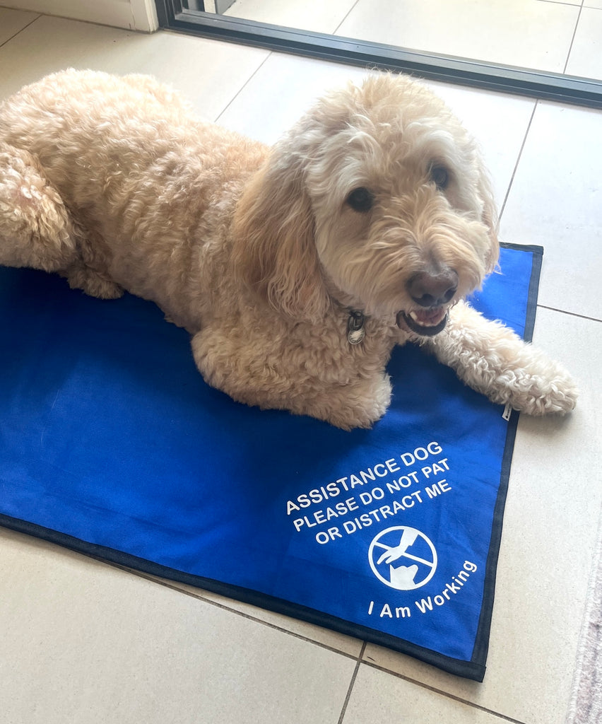 Custom Made Place Training Mat with Print