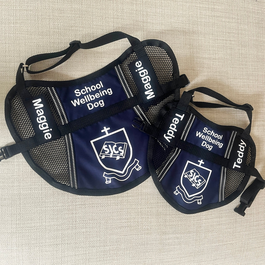 Custom Made Lightweight Therapy/Assistance/Wellbeing Dog Training Vest  (Badges & Print Not Included)