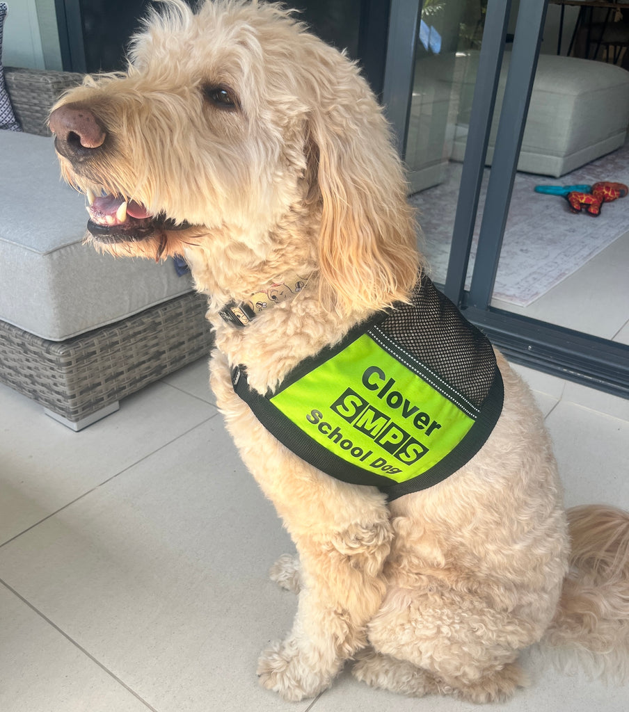 Custom Made Cape Style Therapy/Assistance/Wellbeing Dog Training Vest (Badges and Print not included)