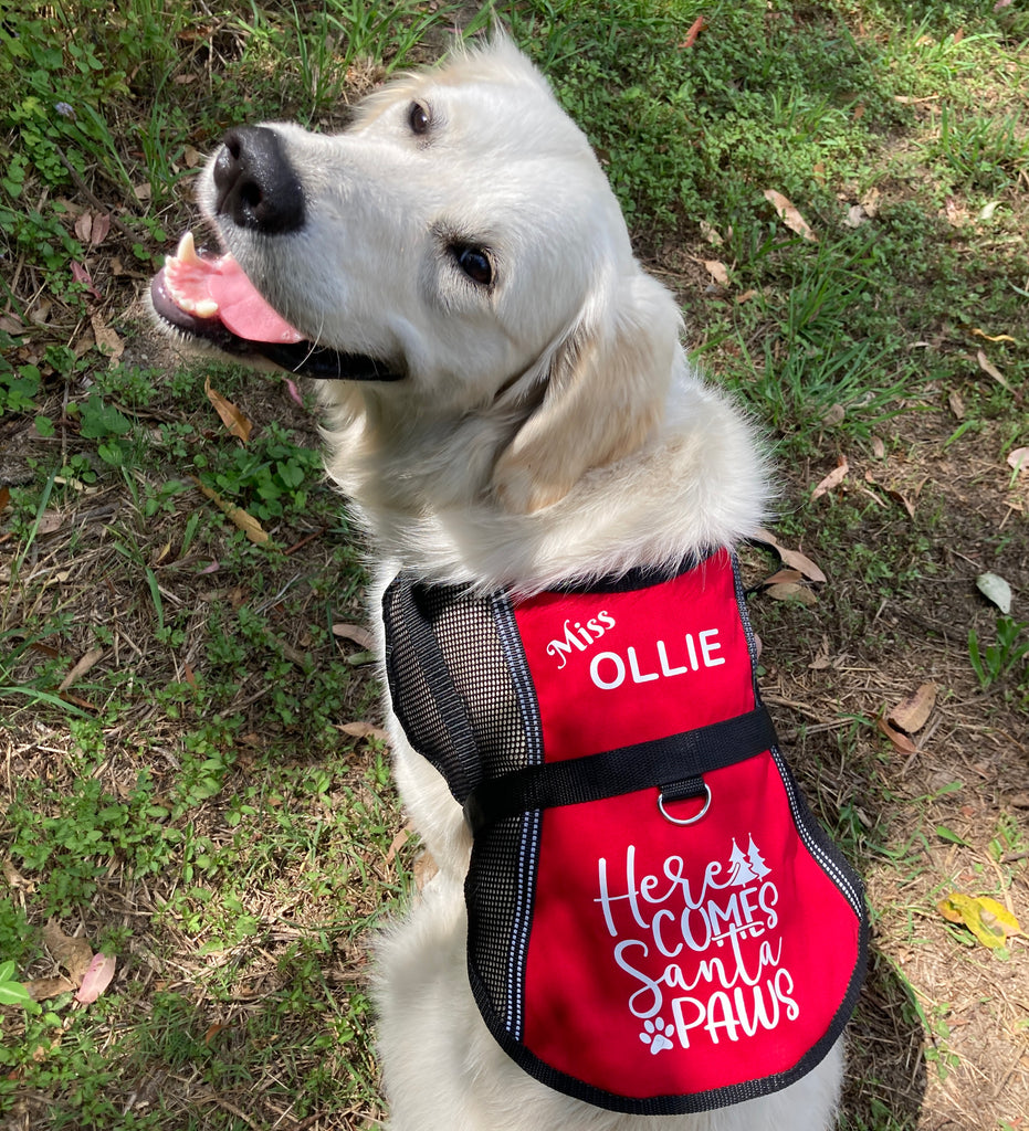 Lightweight Personalised "Here Comes Santa Paws" Training Vest /Jacket / Coat