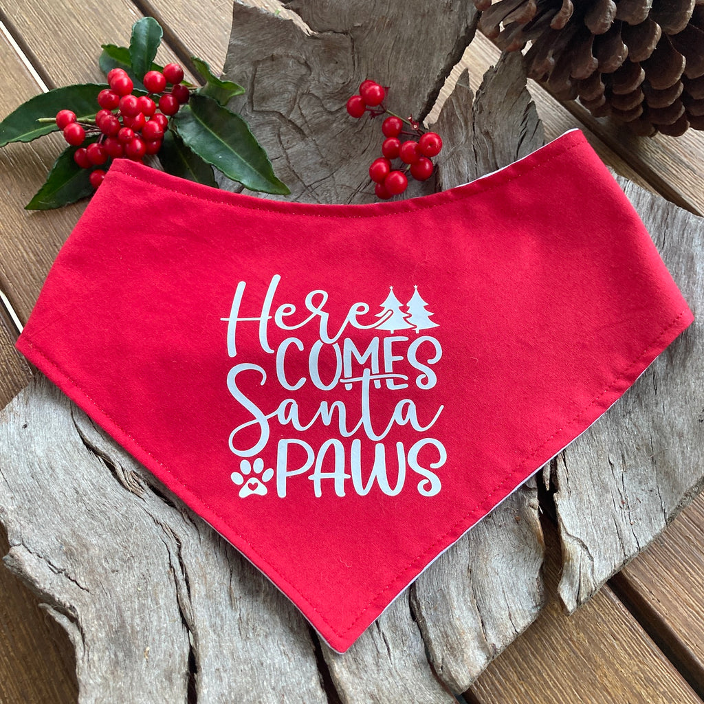 HERE COMES SANTA PAWS! - Printed Xmas Dog Bandana