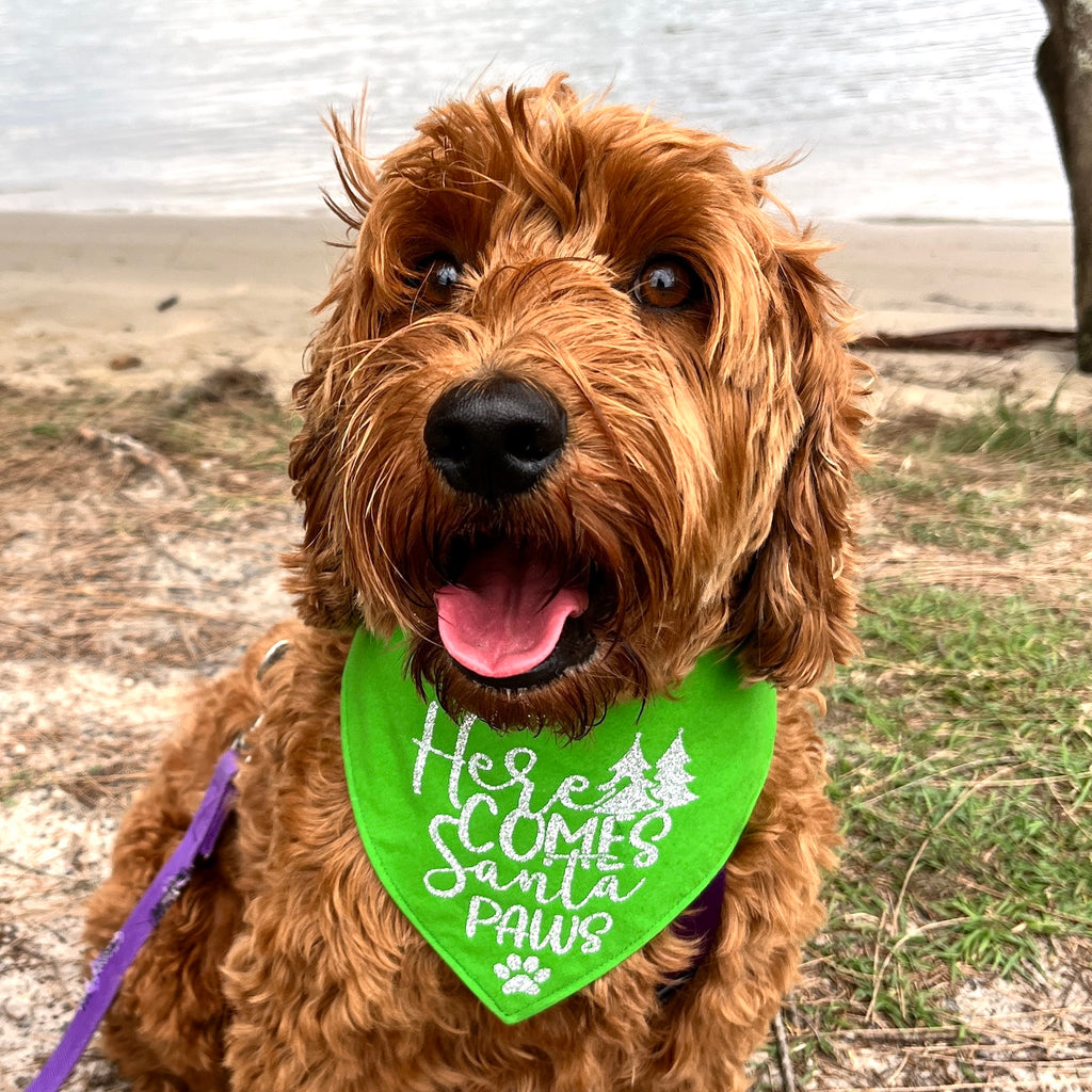 HERE COMES SANTA PAWS! - GLITTER Printed Xmas Dog Bandana