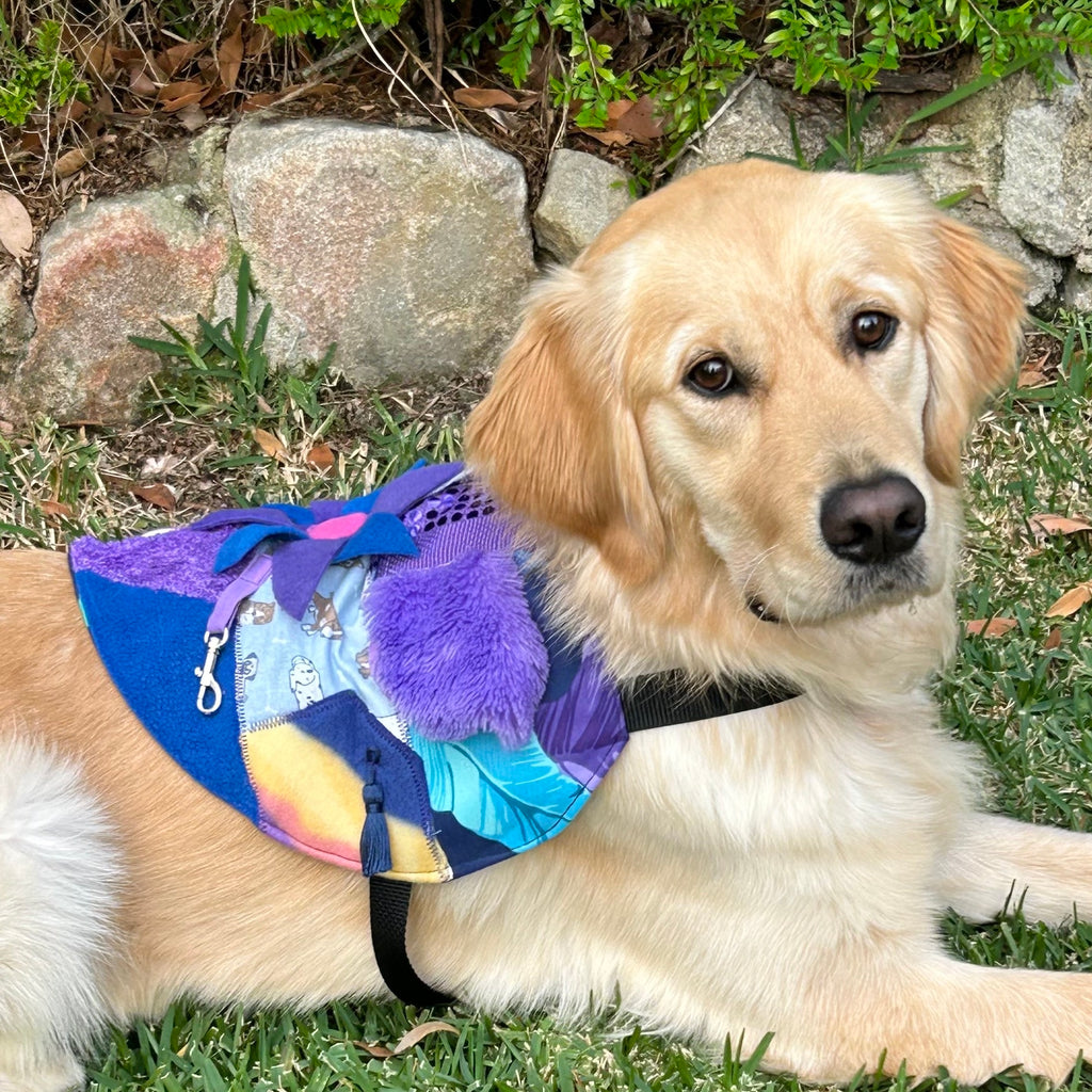 Custom Made Fine Motor Skills / Sensory Therapy Dog Coat