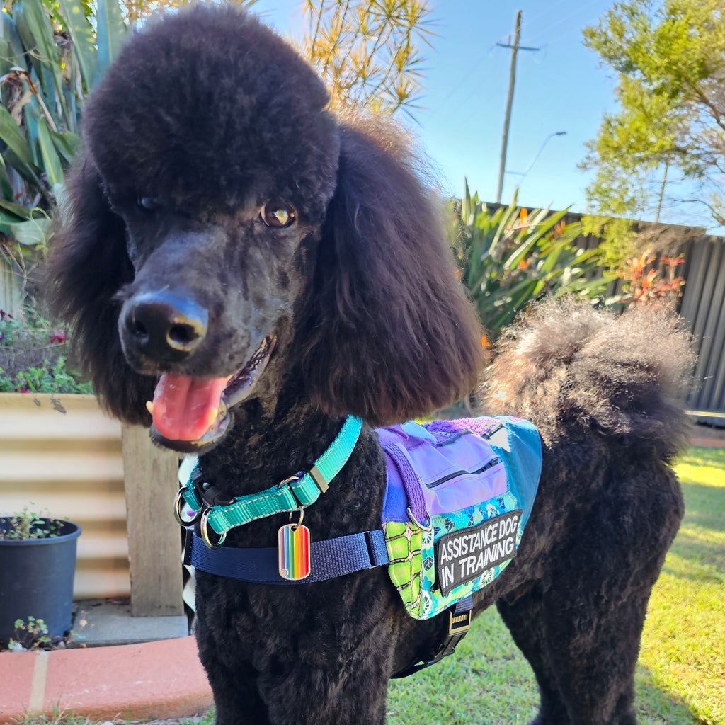Custom Made Fine Motor Skills / Sensory Therapy Dog Coat