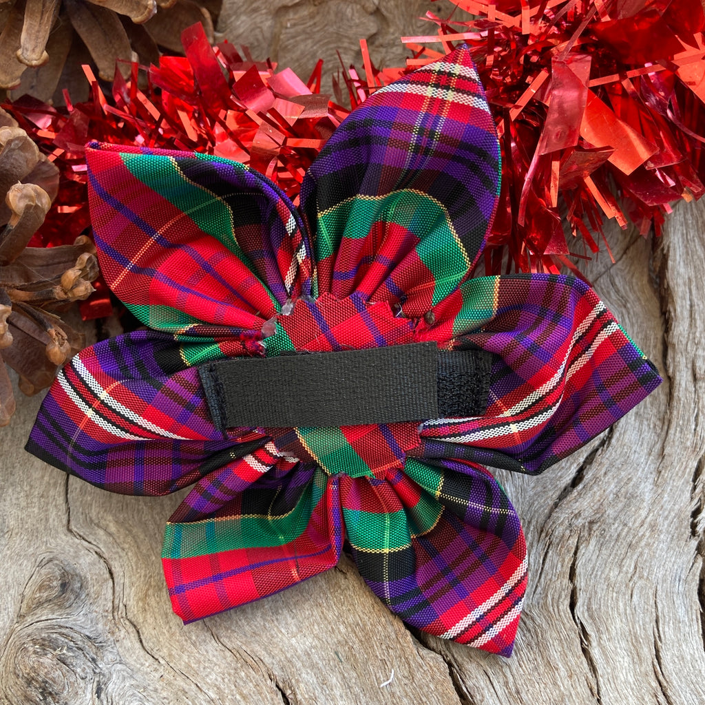 Christmas Tartan Collar Flower