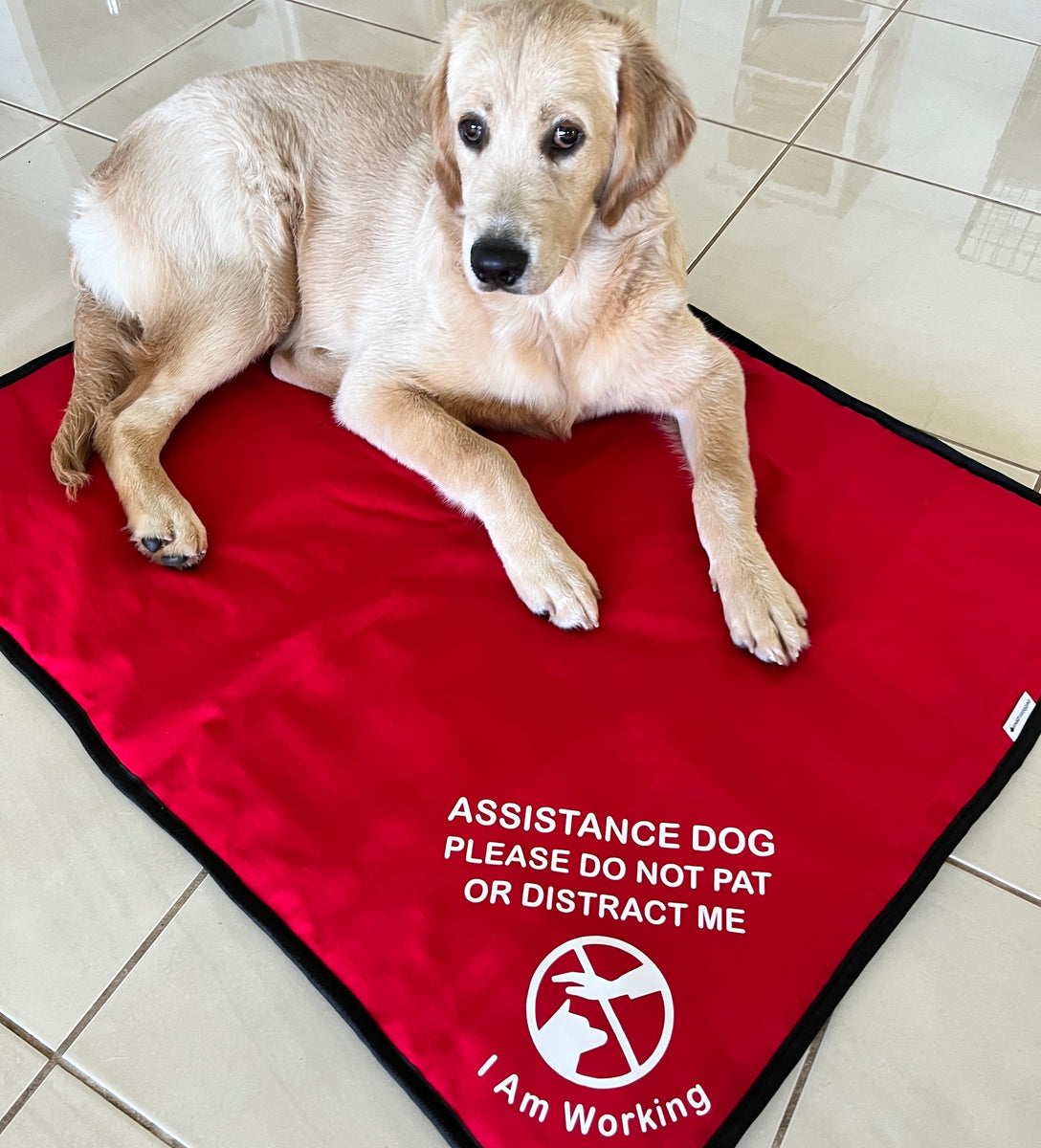 Custom Made Place Training Mat with Print – Pebbles & Paws
