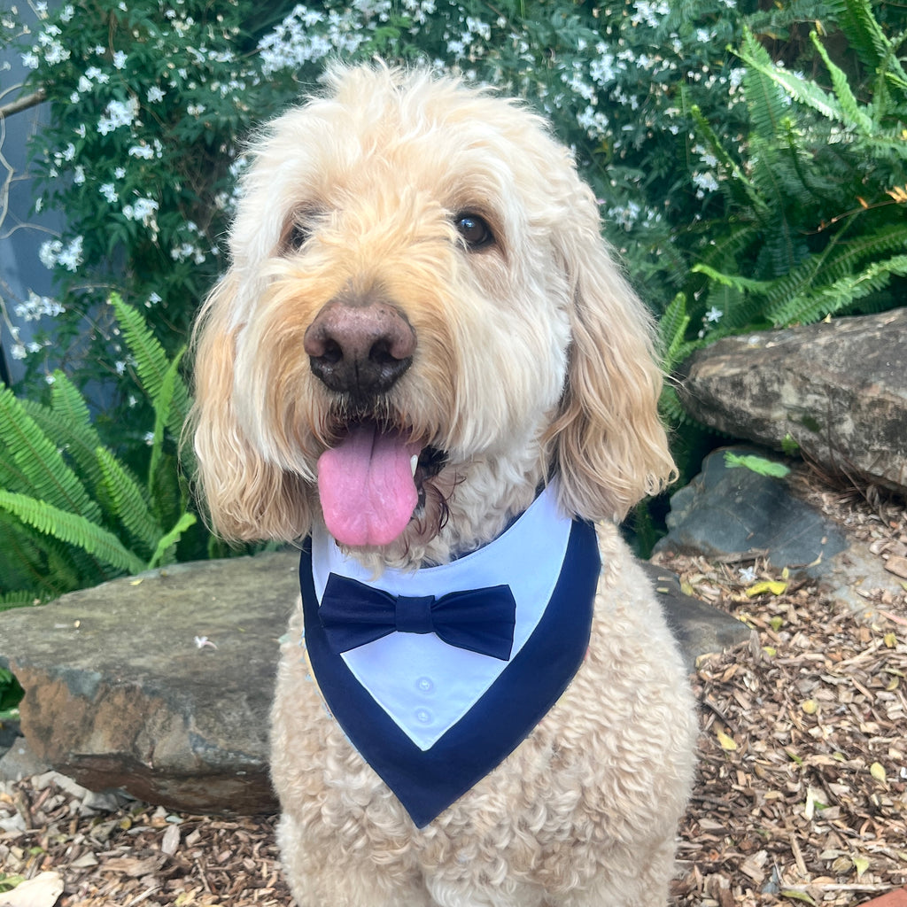Tuxedo Dog Bandana - Navy