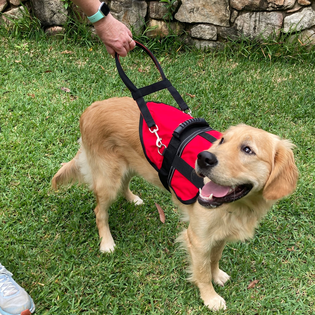 Vision Impairment Handle for Working Dog Training Coat