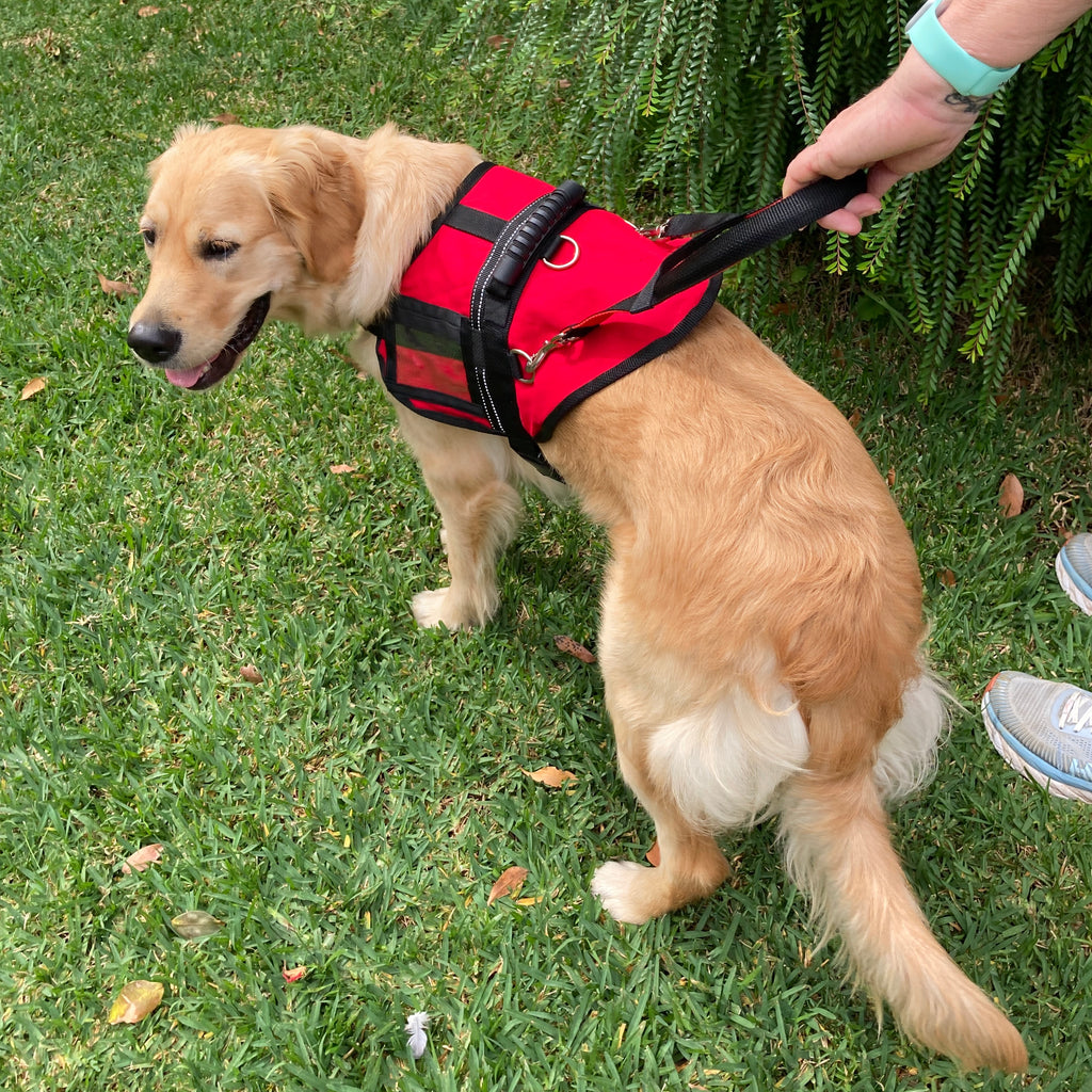 Vision Impairment Handle for Working Dog Training Coat