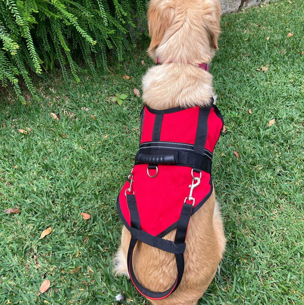 Vision Impairment Handle for Working Dog Training Coat