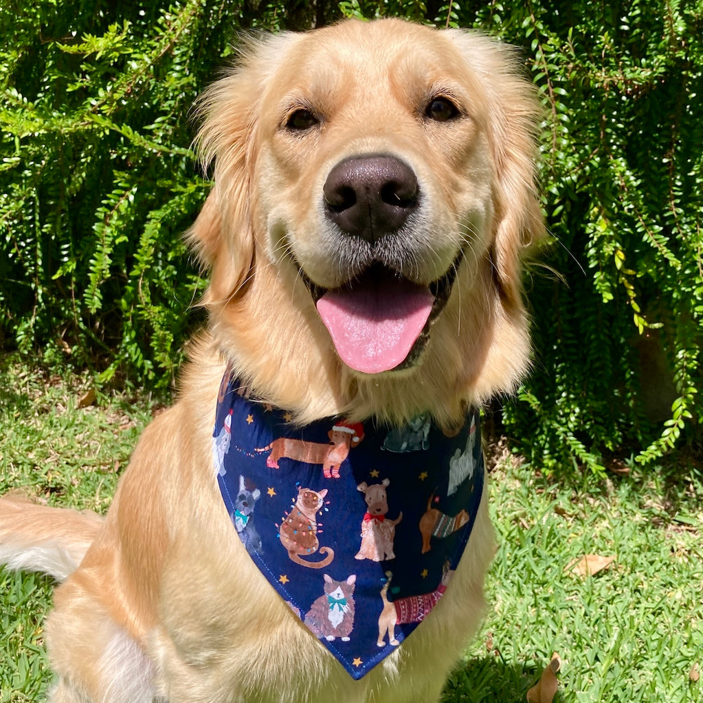 Xmas Dog Bandana, NAVY XMAS PETS