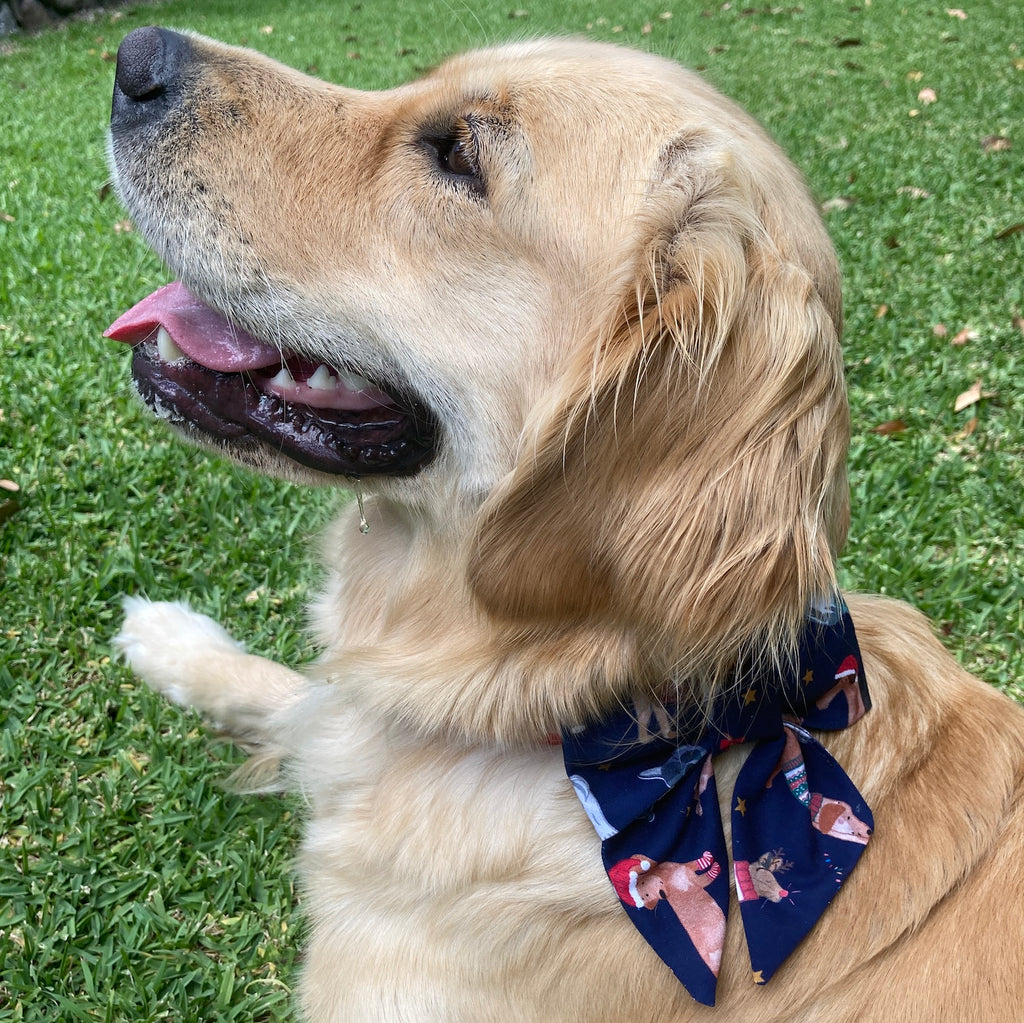 Xmas Dog Sailor Bow - NAVY XMAS PETS