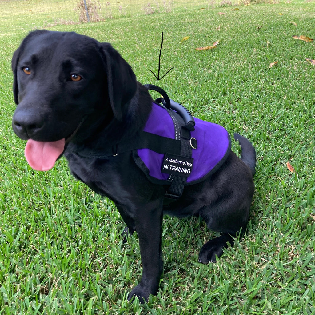 Additional Vertical Handle for Handled Dog Training Coat Order