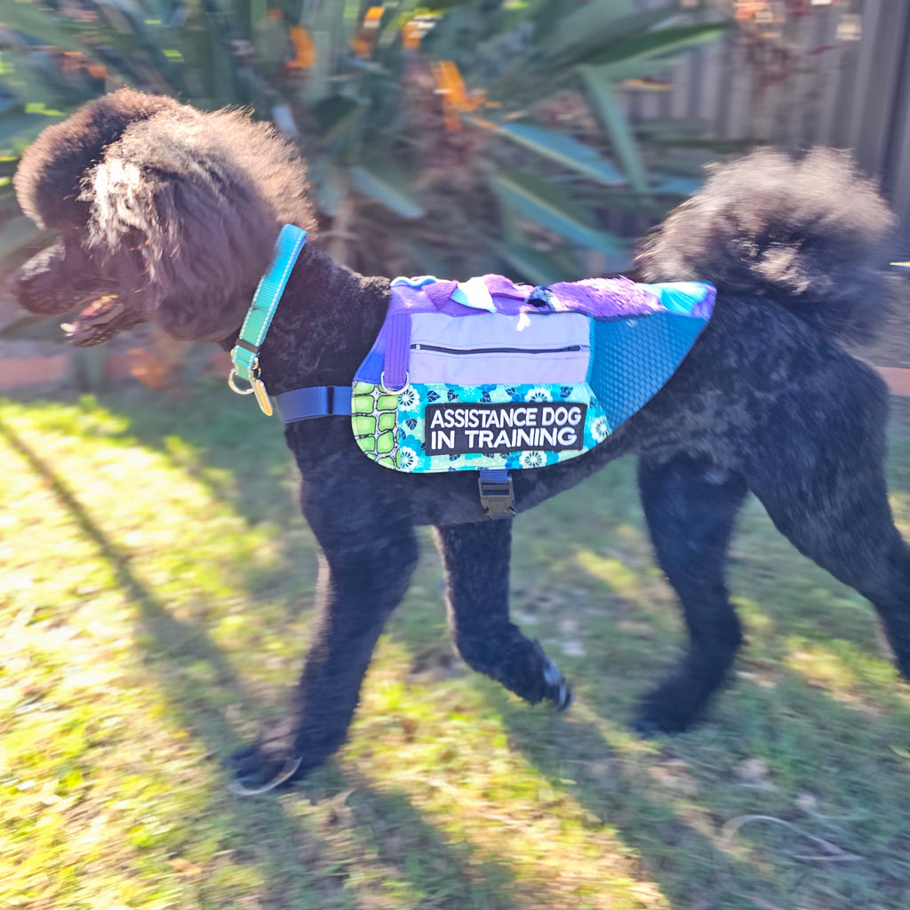 Custom Made Fine Motor Skills / Sensory Therapy Dog Coat