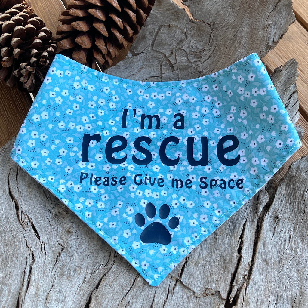 Rescue Dog Bandana and Lead Strap Set - Aqua Flowers