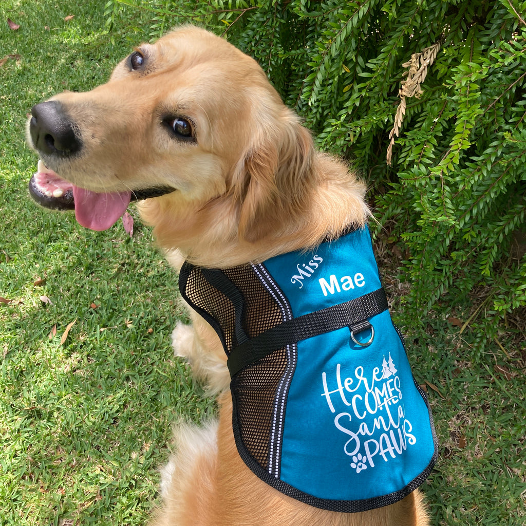 Lightweight Personalised "Here Comes Santa Paws" Training Vest /Jacket / Coat