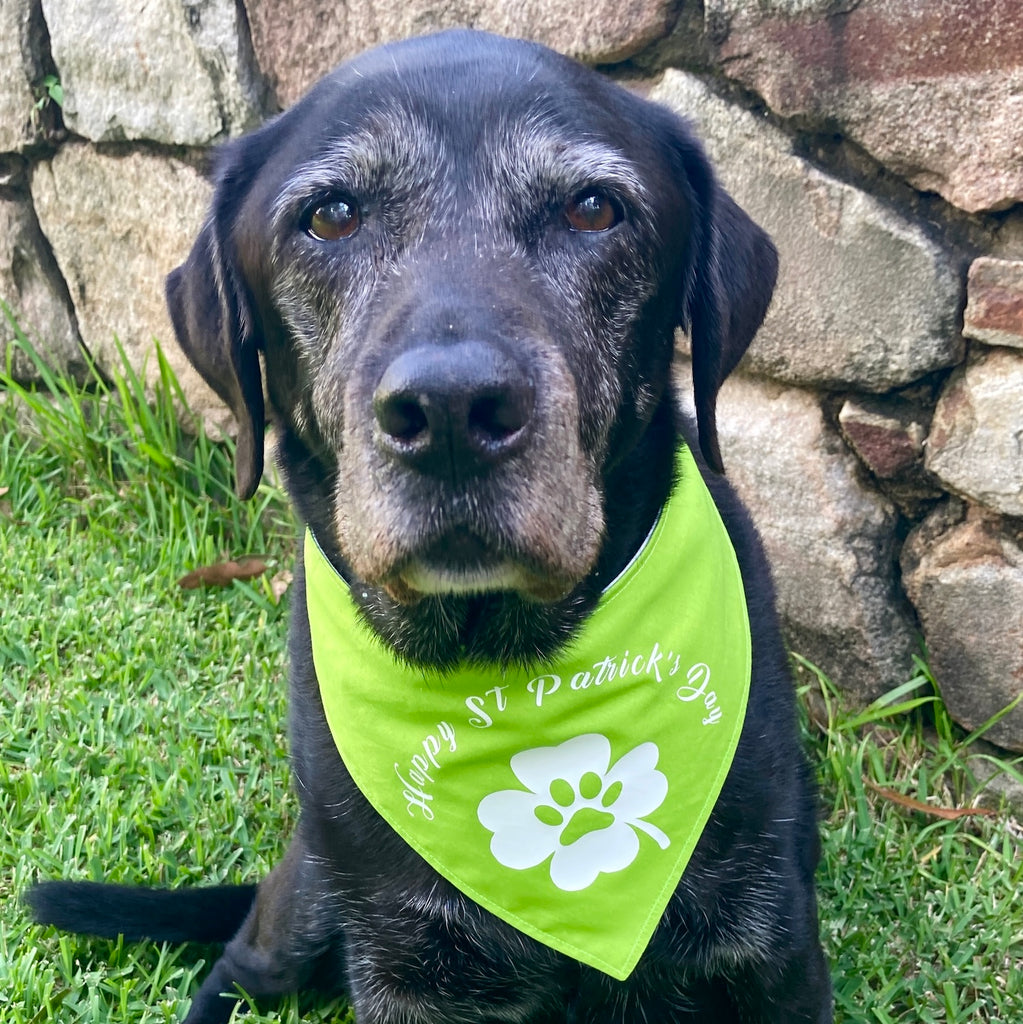 Vinyl Transfer Print Dog Bandana - HAPPY ST PATRICK'S DAY