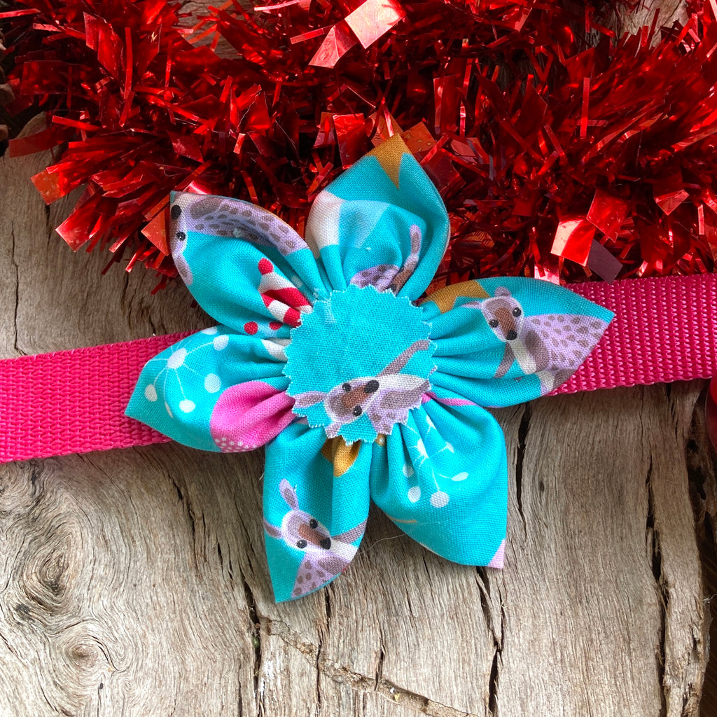Christmas Collection - AQUA WALLABIES