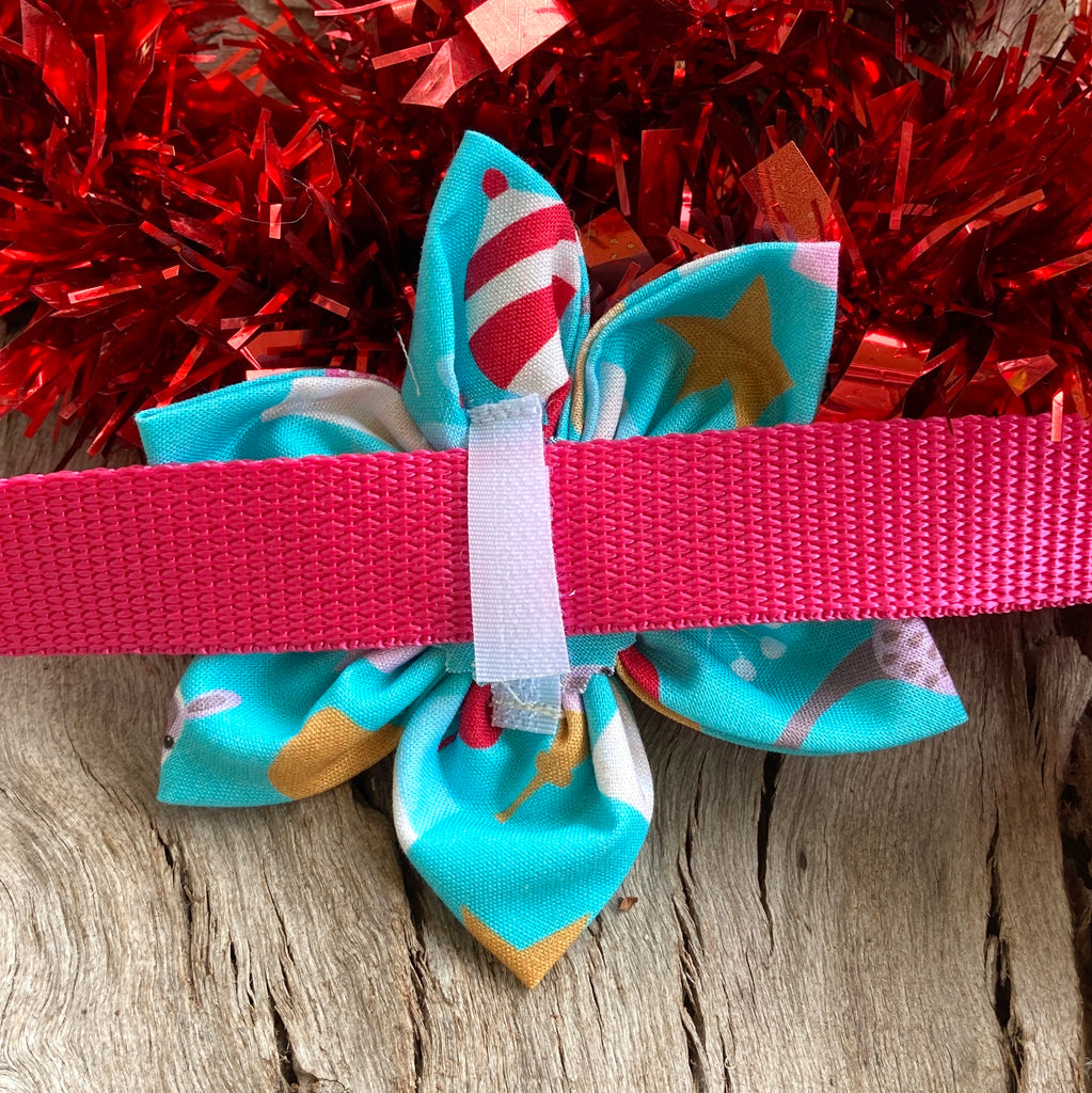 Christmas Collection - AQUA WALLABIES