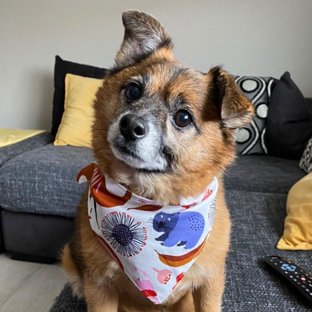 Xmas Dog Tie On Bandana, White "Native Wildlife"