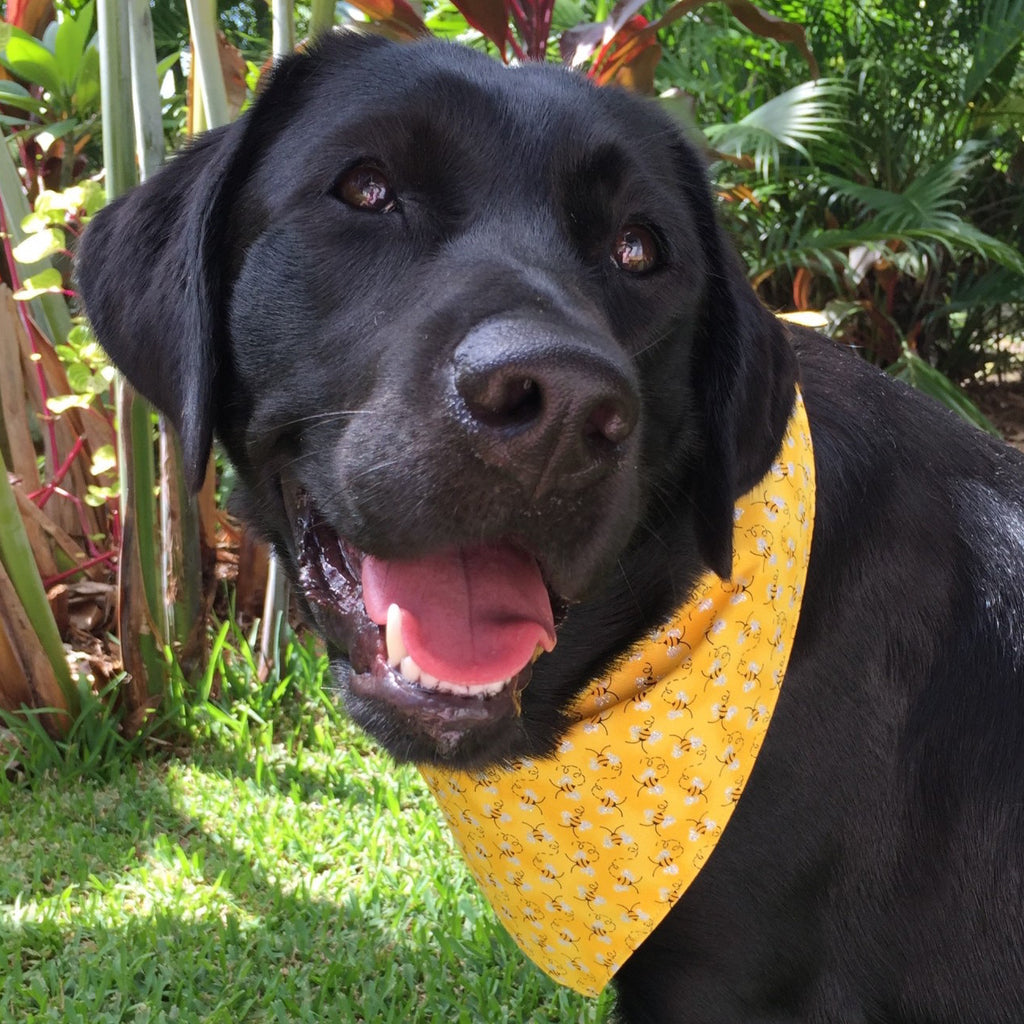 Handmade Dog Bandana "GLITTERY BEES"