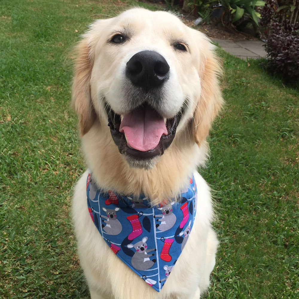 Xmas Dog Tie On Bandana, "Blue Koalas"