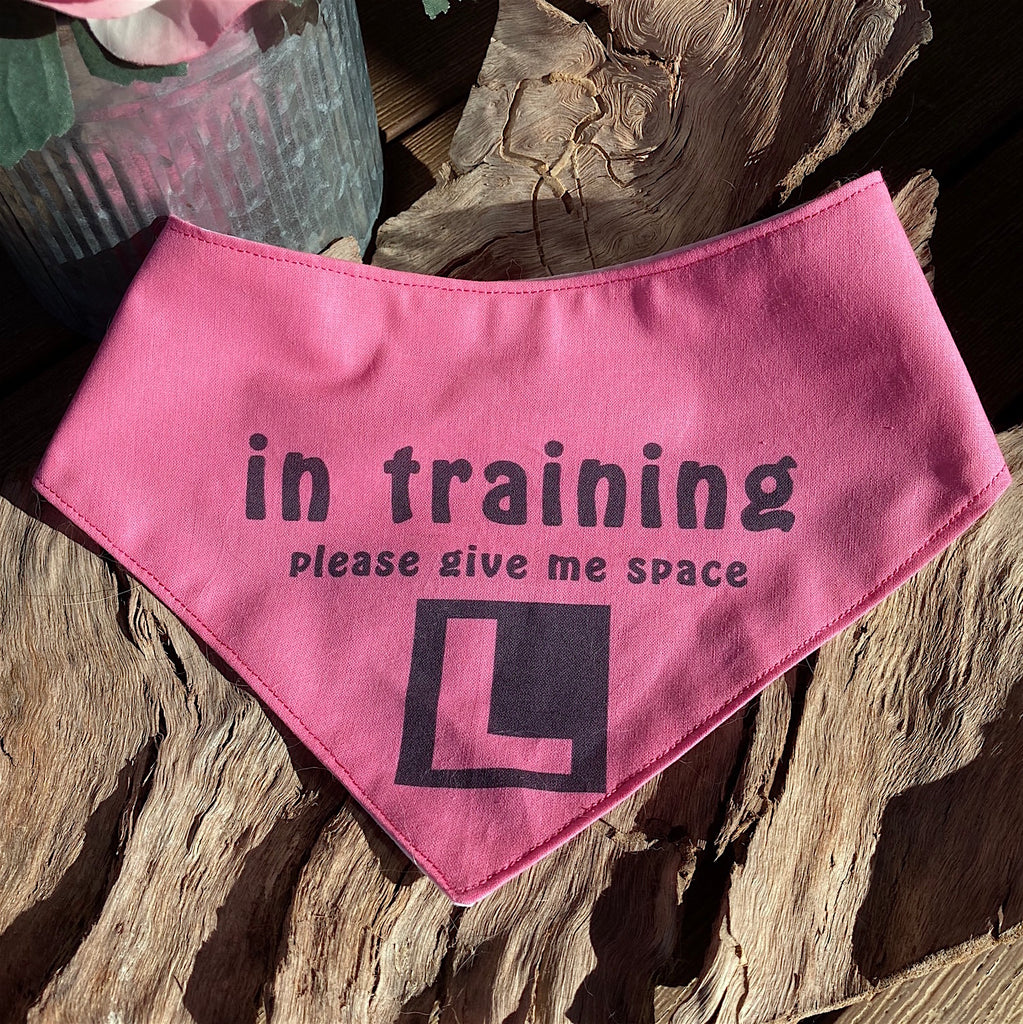 "In Training Please Give Me Space - L Plate" Handmade Dog Bandana - Bright Pink