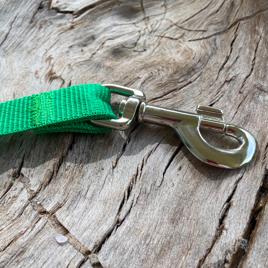 Standard 1.2m "Sniffari" Dog Bungee Training Lead/Leash