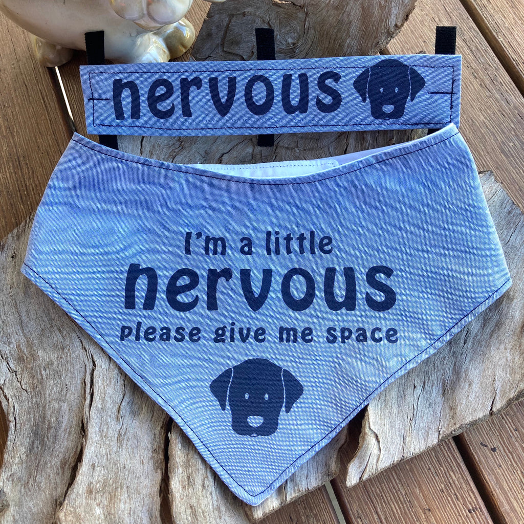 "NERVOUS DOG Bandana and Lead/Collar Strap Set" - Chambray Denim